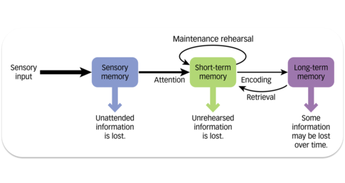 Memory from a Psychological View – Nico Addai